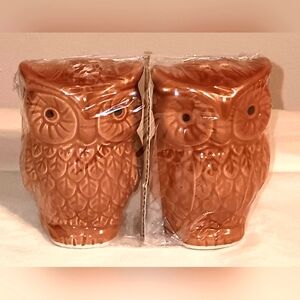 Ceramic Owl Salt & Pepper Shakers New Sealed